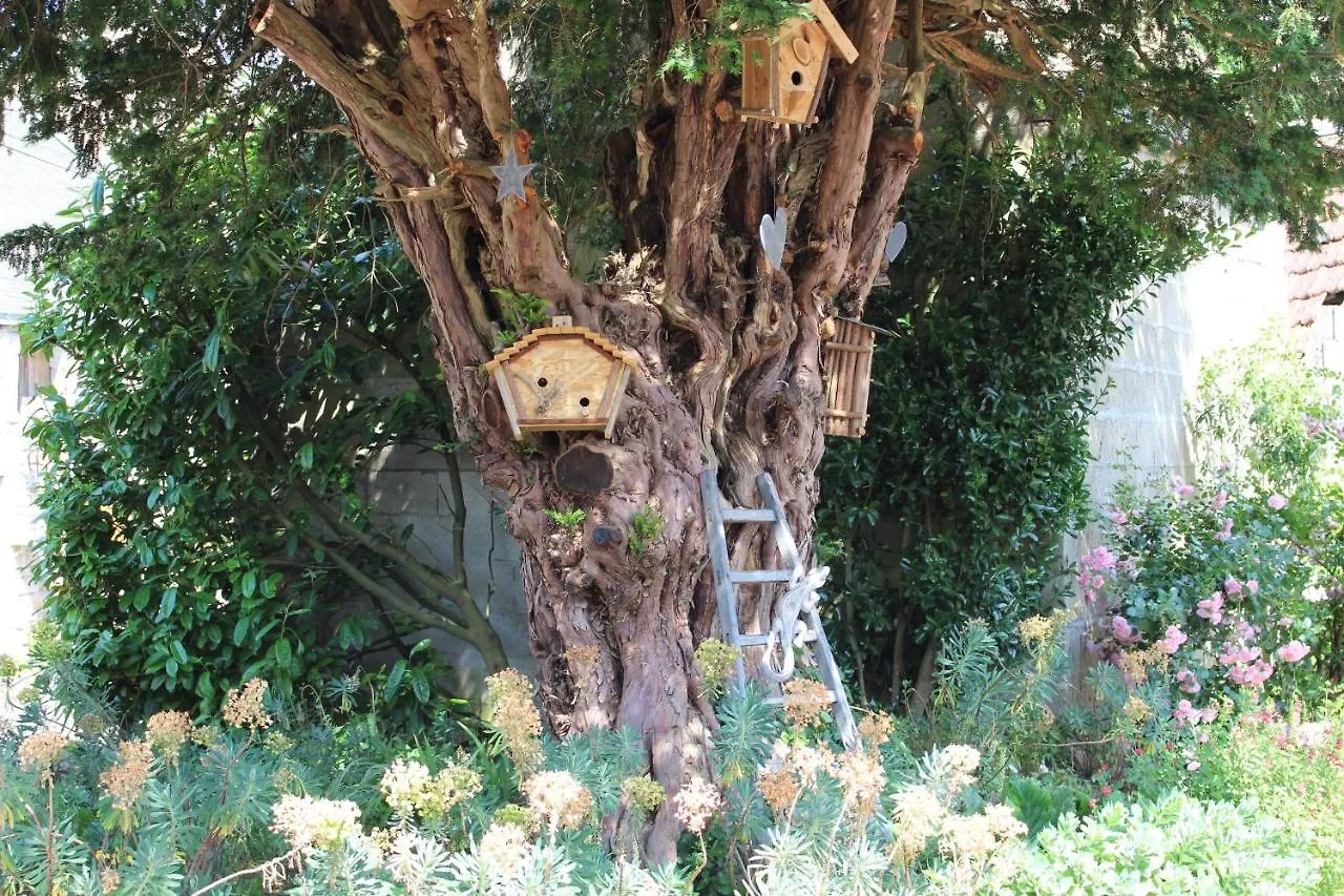 La Maison Aux Chimeres Bed & Breakfast Guehenno